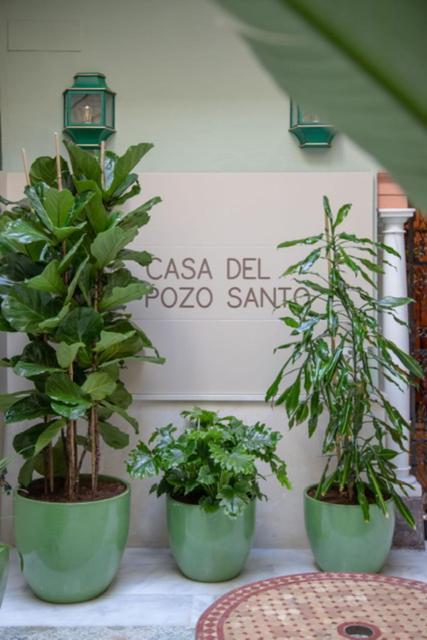 Apartamentos La Casa Del Pozo Santo เซบีญา ภายนอก รูปภาพ