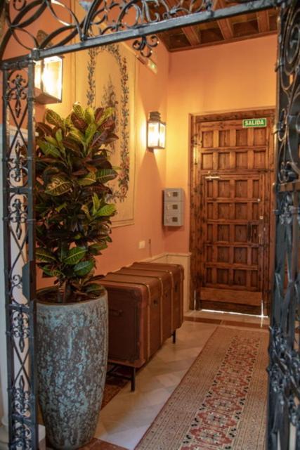 Apartamentos La Casa Del Pozo Santo เซบีญา ภายนอก รูปภาพ